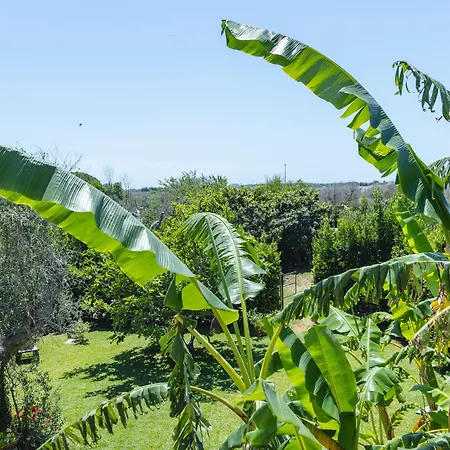 Casa Di Marco Bed and Breakfast