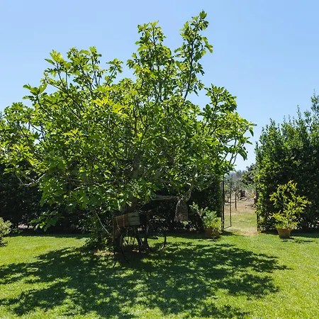 Bed and Breakfast Casa Di Marco Sannicola