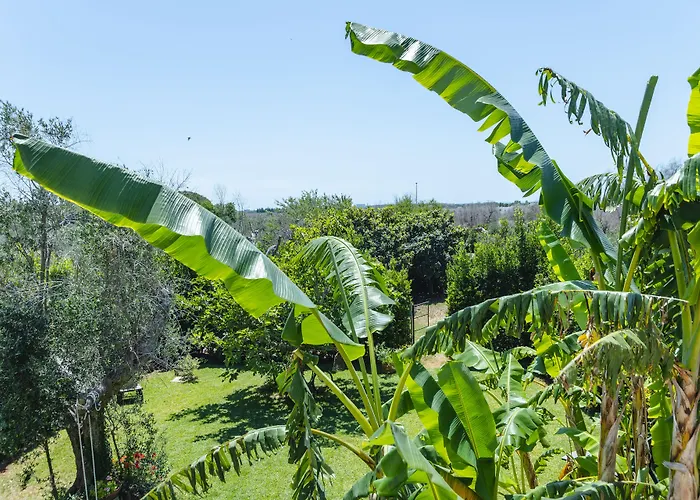 Casa Di Marco Bed & Breakfast