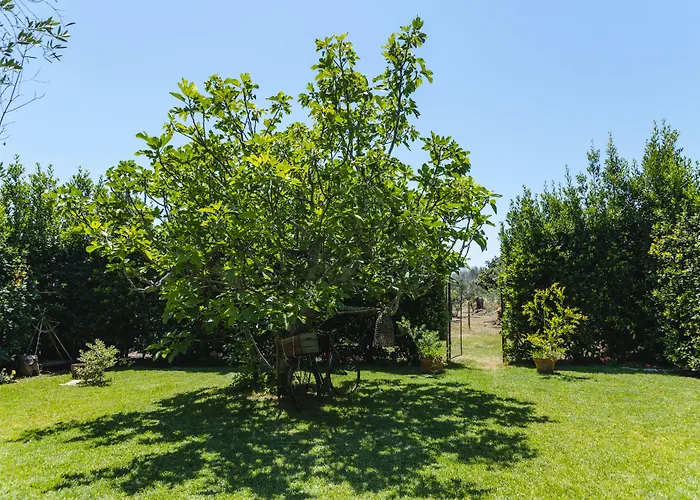 Bed & Breakfast Casa Di Marco Sannicola