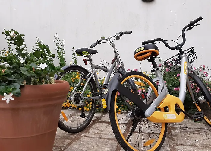 Bed & Breakfast Casa Di Marco Sannicola